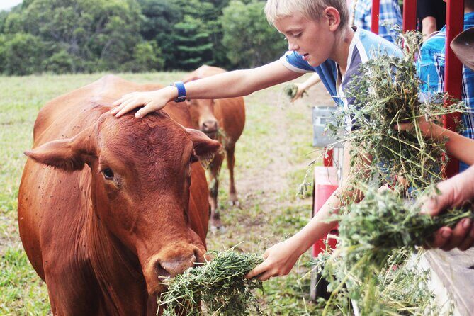 Horse and Quad bike tour with a visit to a Petting Zoo - The Sum Up