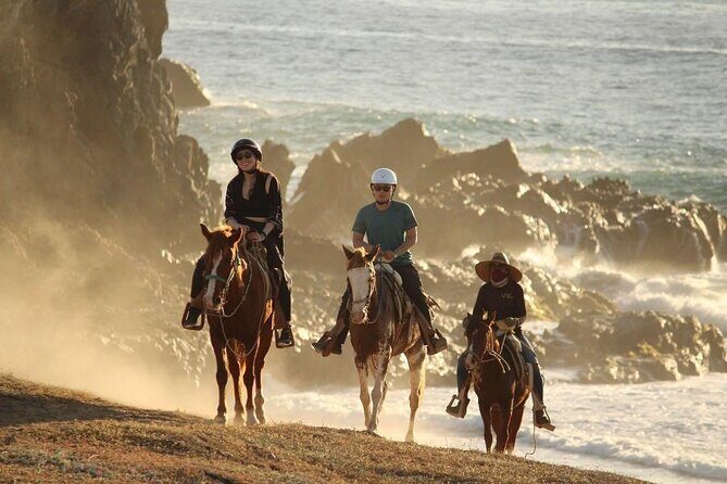 Horse Back Ridding Tour on the Pacific Ocean & Desert - What to Expect from the Cabo Horseback Riding Experience