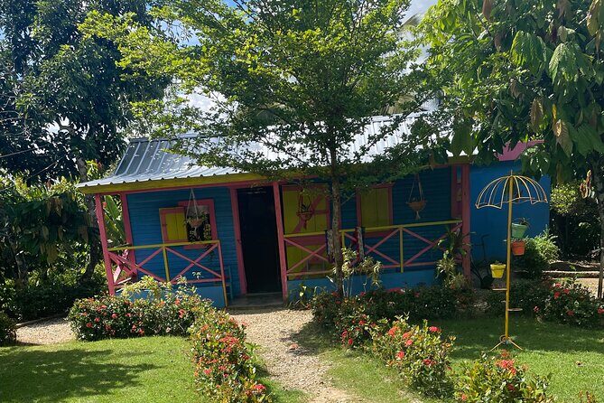 Horse Back Riding Adventure in Punta Cana - An In-Depth Look at the Horseback Riding Tour in Punta Cana