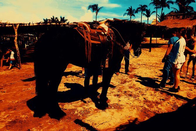 Horse Back Riding And Baby Turtle Camp Visit - The Turtle Camp: Learning and Conservation