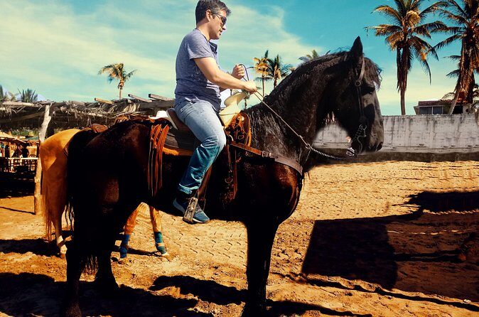 Horse Back Riding And Baby Turtle Camp Visit - The Sum Up