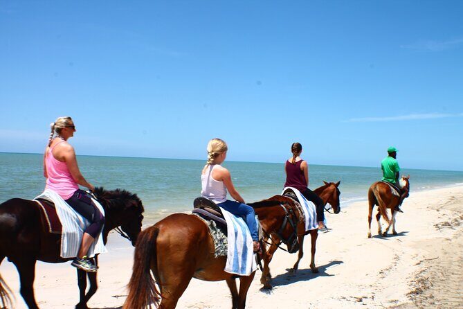 Horse Back riding Excursion - Key Points