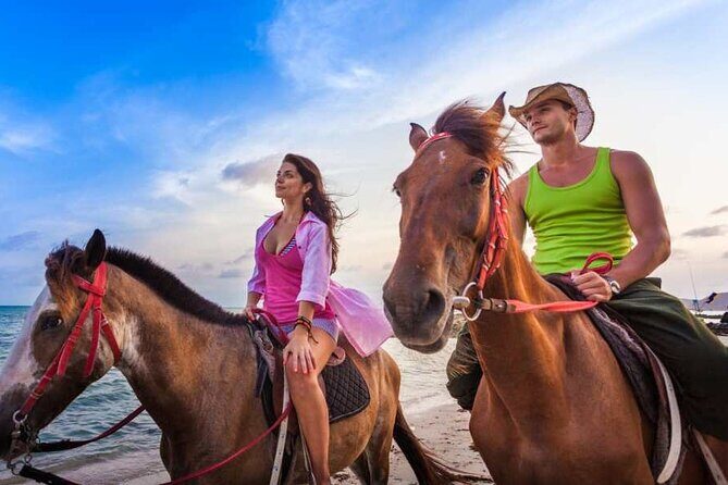 Horse Back riding Excursion - What Travelers Say