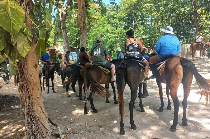 Horse Back Riding in Ocho Rios - Additional Considerations