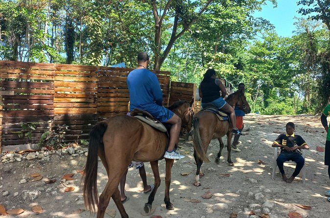 Horse Back Riding in Ocho Rios - Who Will Love This Tour?