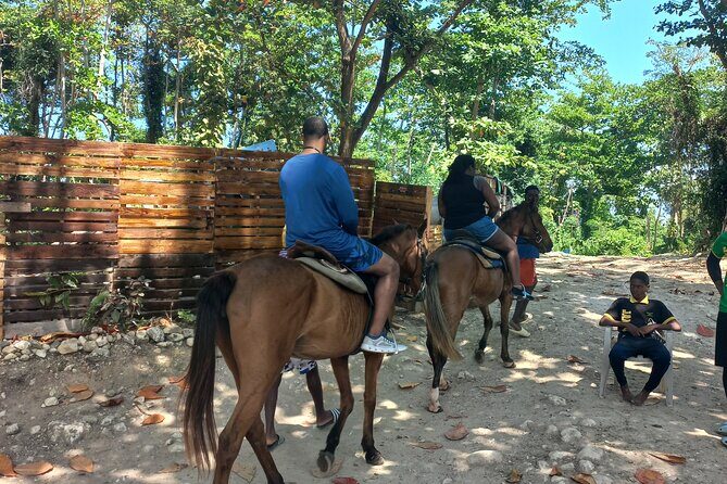 Horse Back Riding in Ocho Rios - FAQ