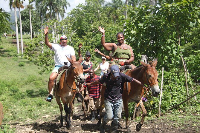 Horse back riding (Punta Cana/Bavaro) - What to Expect on the Tour