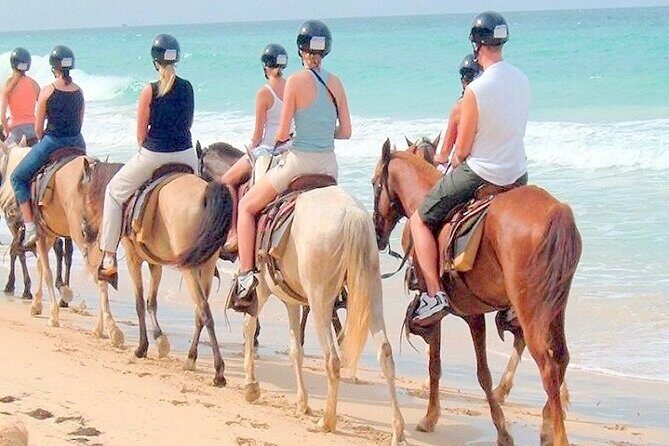 Horse back riding (Punta Cana/Bavaro) - A Closer Look at the Experience