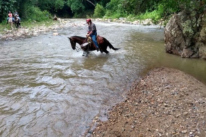 Horse Back Riding, Zipline and ATV Experience - An Exciting Day in Puerto Vallarta: Horseback Riding, Zipline, and ATV Adventure