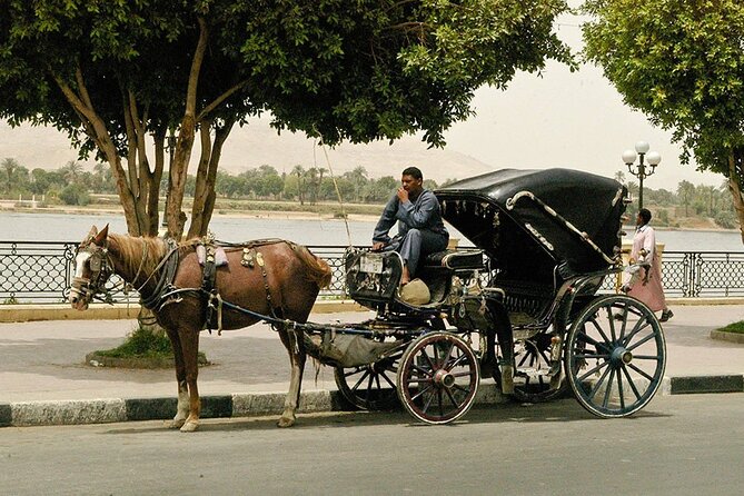 Horse Carriage City Tour in Luxor City With Meal and Soft Drink - Positive Reviews