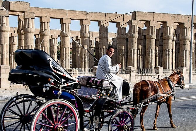 Horse Carriage City Tour in Luxor City With Meal and Soft Drink - Guided Experience