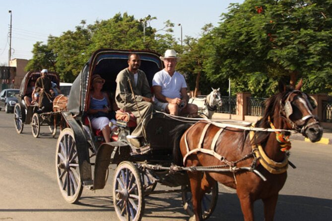 Horse Carriage City Tour in Luxor City With Meal and Soft Drink - Frequently Asked Questions