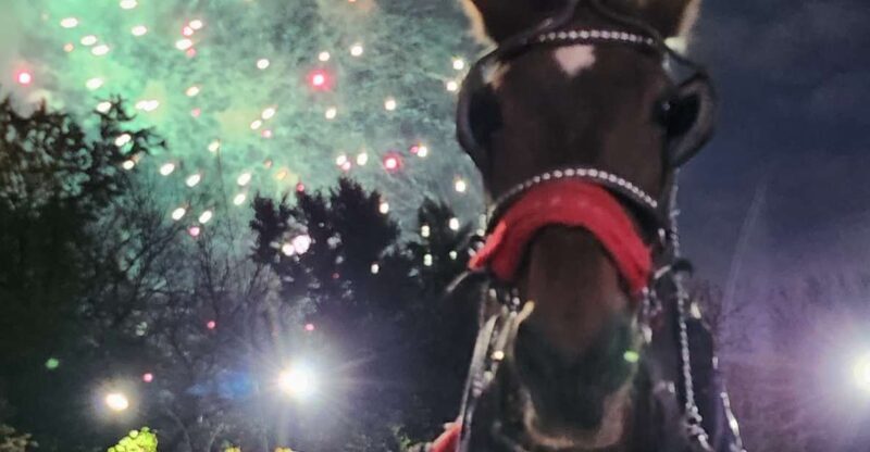 Horse Carriage Ride at Rockefeller Center & Times Square - Introduction: What’s the Tour All About?