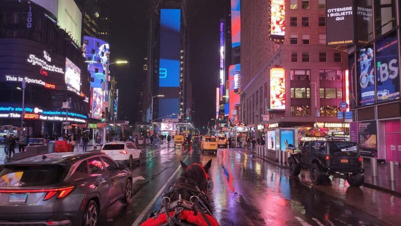 Horse Carriage Ride at Rockefeller Center & Times Square - The Experience in Practice