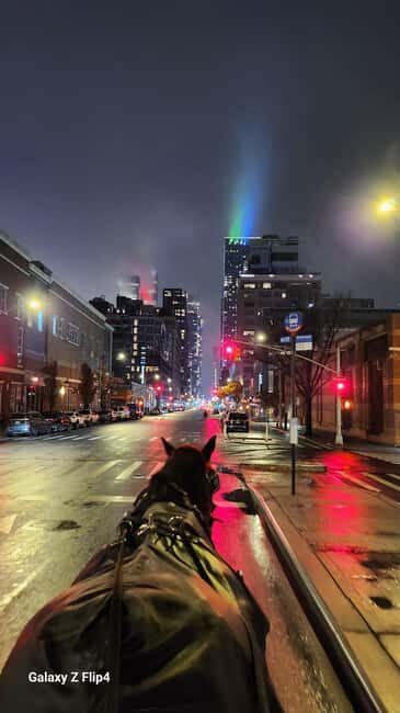 Horse Carriage Ride at Rockefeller Center & Times Square - The Sum Up: Is It Worth It?