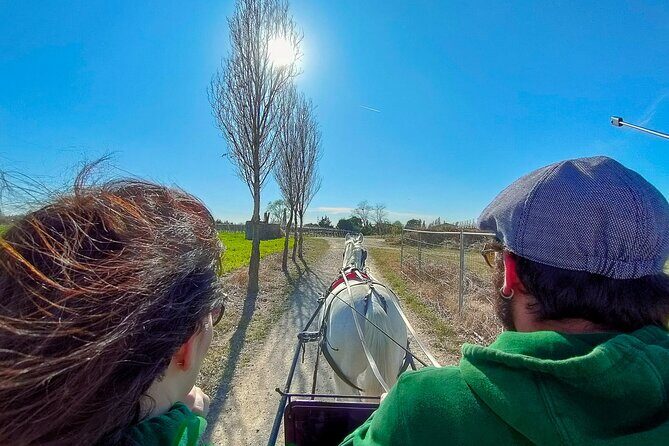 Horse Carriage Tour and Wine Tasting in Lazise - A Closer Look at the Experience