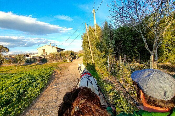 Horse Carriage Tour and Wine Tasting in Lazise - Price and Value