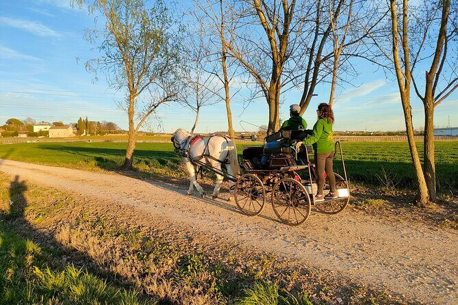 Horse Carriage Tour and Wine Tasting in Lazise - Frequently Asked Questions