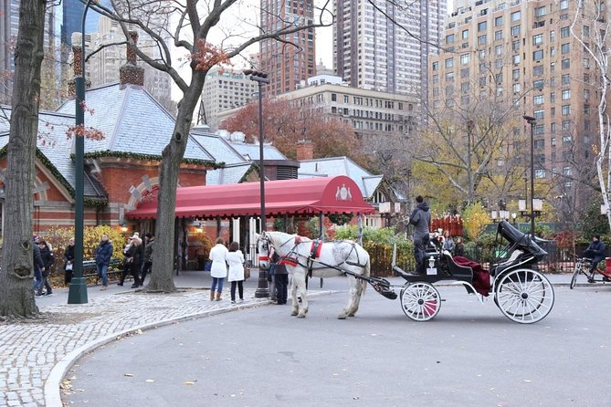 Horse Carriage Tour in New York Citys Central Park Small Loop - Getting to the Meeting Point