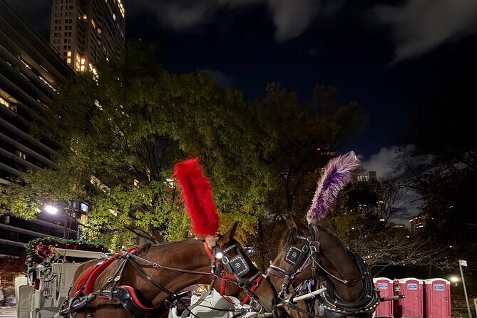 Horse Carriage Tour Through Central Park, NYC SINCE 1903 - Exploring the Central Park Horse Carriage Tour in Detail