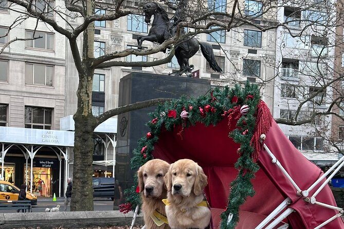 Horse Carriage Tour Through Central Park, NYC SINCE 1903 - Final Thoughts: Is This Tour Worth It?