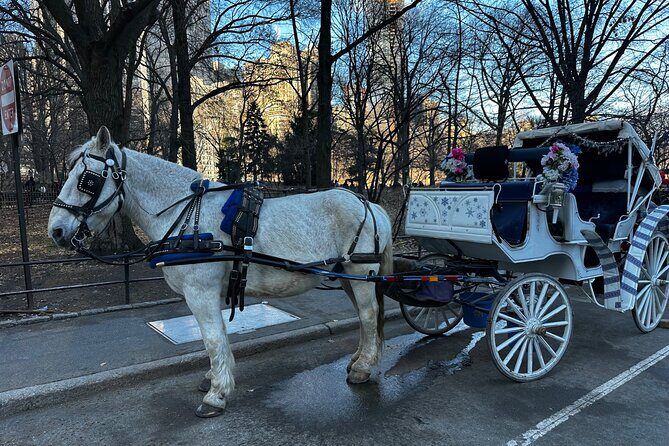 Horse Carriage Tour Through Central Park, NYC SINCE 1903 - FAQ