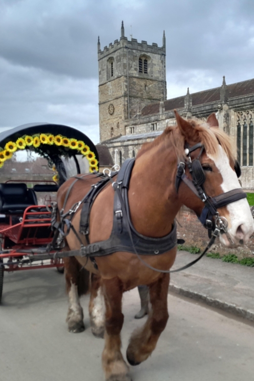 Horse Drawn Carriage Ride and Picnic Hamper - Pricing and Booking Information