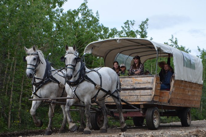 Horse-Drawn Covered Wagon Ride With Backcountry Dining - Frequently Asked Questions