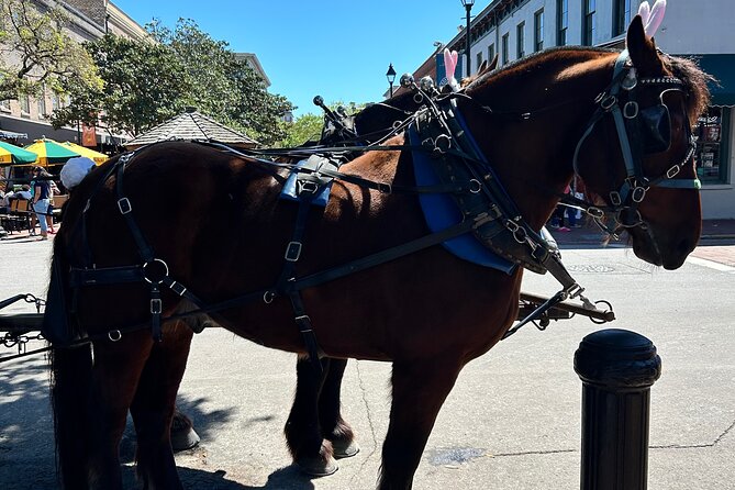Horse Drawn Daytime Group Narrated Historic Overview Tour - Tour Overview