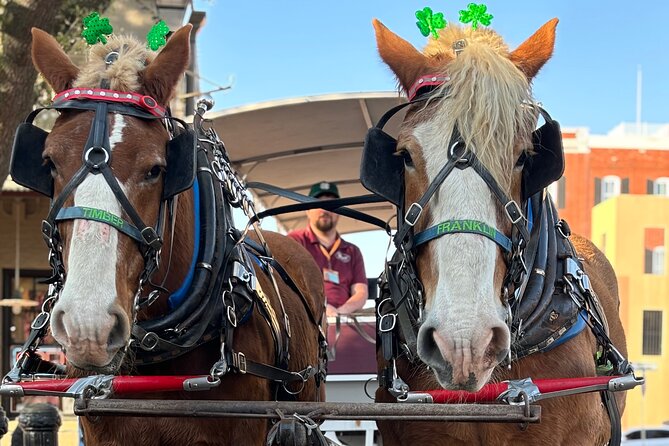 Horse Drawn Daytime Group Narrated Historic Overview Tour - Accessibility and Cancellation Policy