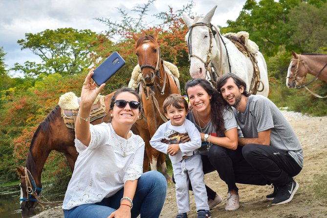 Horse Ride - About Your Stay