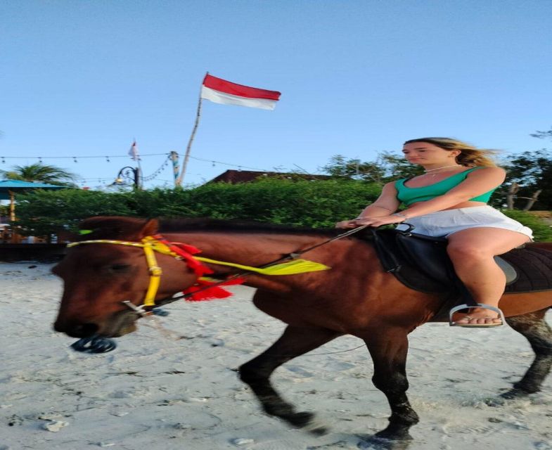 Horse Ride On The Beach on Gili Island - Pricing and Booking