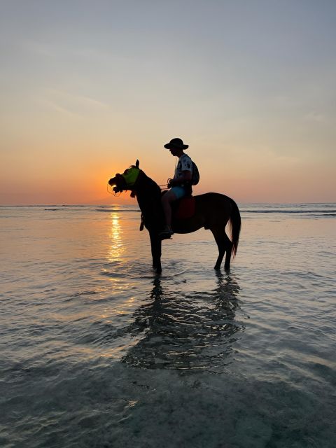 Horse Ride On The Beach on Gili Island - Included Services