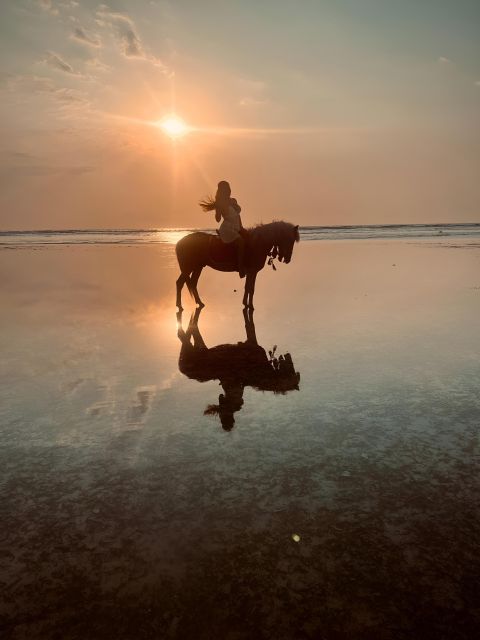 Horse Ride On The Beach on Gili Island - Transportation and Pick-up