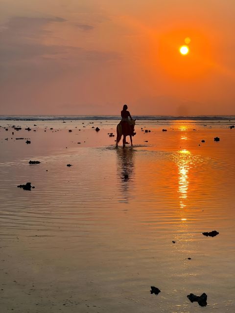 Horse Ride On The Beach on Gili Island - Rider Suitability
