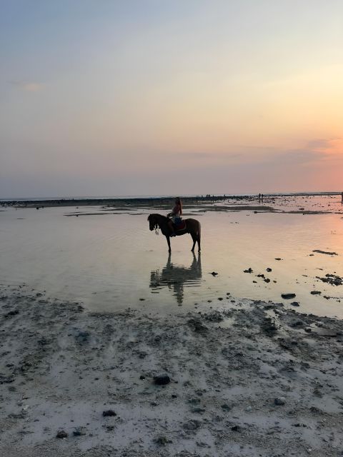 Horse Ride On The Beach on Gili Island - Tour Itinerary