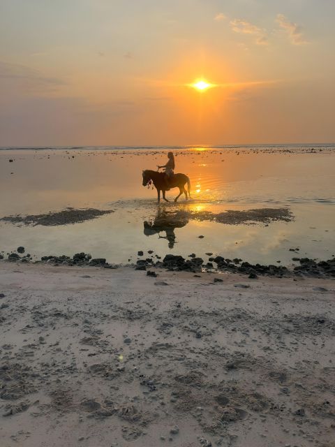 Horse Ride On The Beach on Gili Island - Frequently Asked Questions