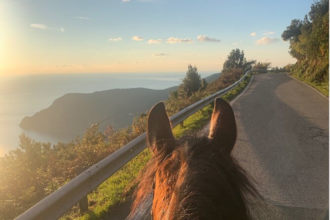Horse Ride on the Coast of Monterosso Al Mare Cinque Terre - Pickup and Meeting Point