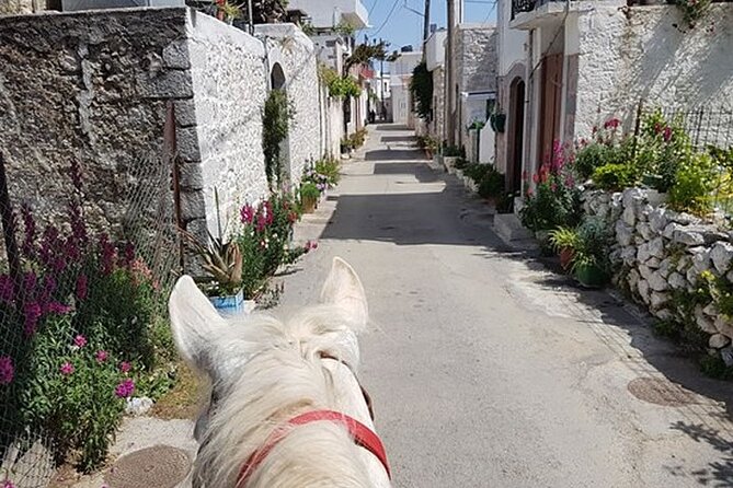 HORSE RIDING 1.5 Hours Mountains From Area Hersonissos CRETE - Safety Considerations