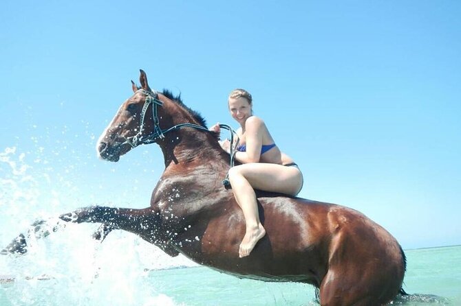Horse Riding 3 Hours Desert Beach Swimming by Horse in Hurghada - Pricing and Booking Details