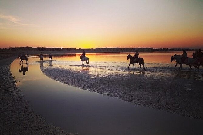 Horse Riding 3 Hours Desert Beach Swimming by Horse in Hurghada - Whats Included