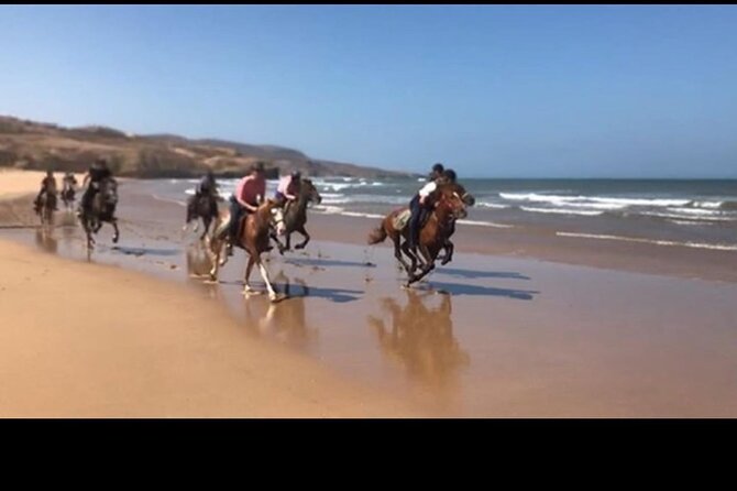 Horse Riding Agadir - Common Criticisms and Host Responses