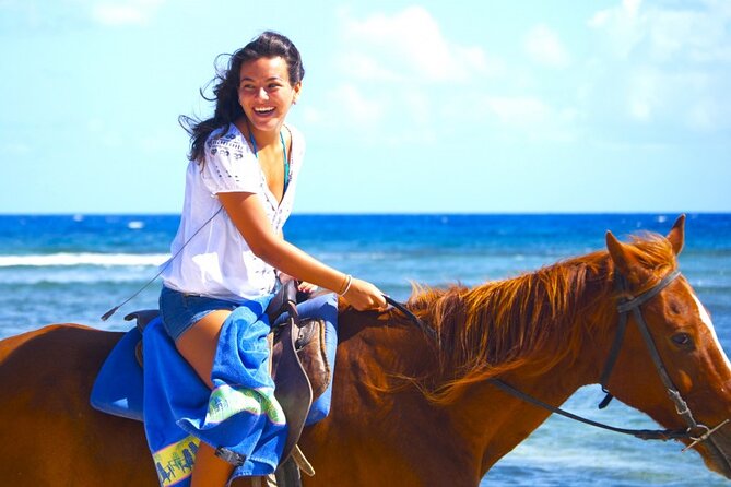Horse Riding at Red Sea Desert and Sea From Sharm - Key Considerations