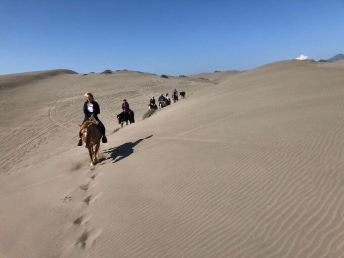 Horse Riding & Barbecue, Ritoque Sand Dunes & Beach F. Valpo - How to Book Your Experience