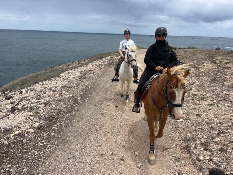 Horse Riding Coast Tour - Price and Duration
