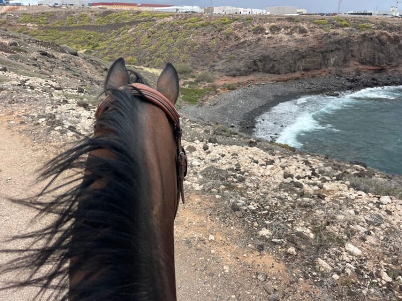 Horse Riding Coast Tour - Tour Details