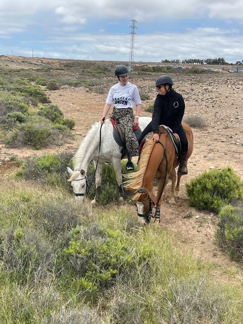 Horse Riding Coast Tour - Booking Information