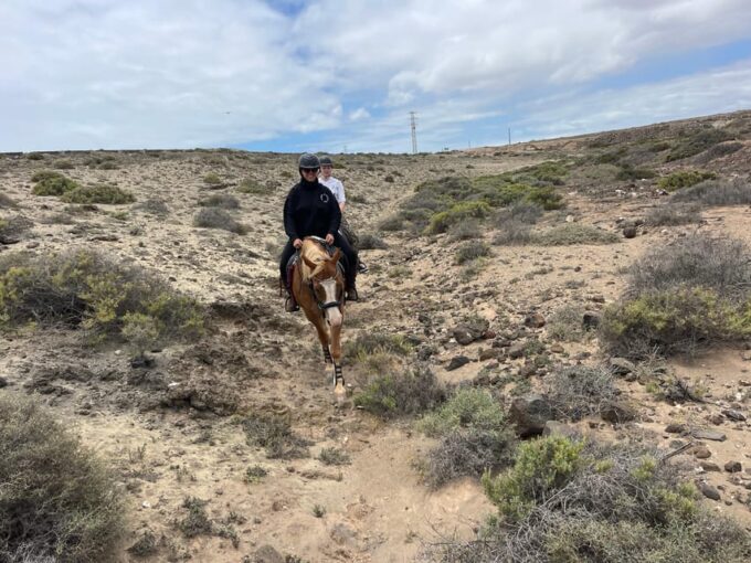 Horse Riding Coast Tour - Preparation and Restrictions