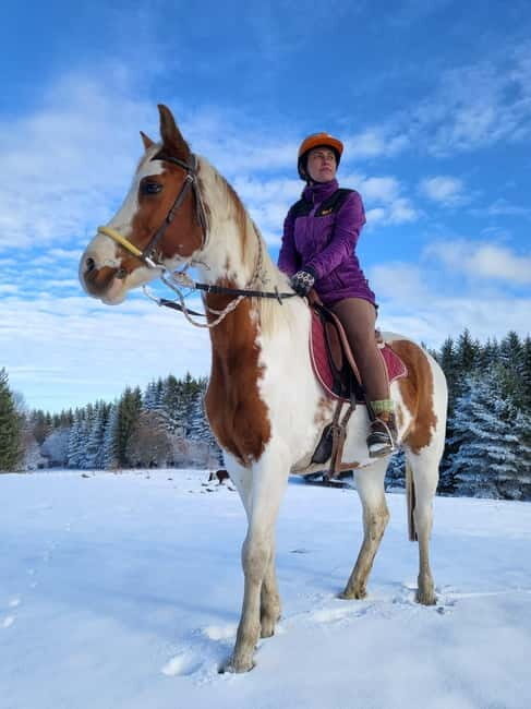 Horse Riding Day Trip in the Rila Mountain - Key Points