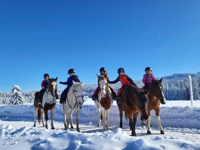 Horse Riding Day Trip in the Rila Mountain - Why This Tour Offers Good Value